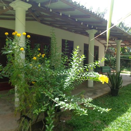 Green Valley Home Stay Talpe Extérieur photo